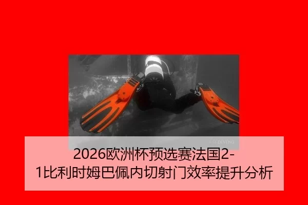 ou-zhou-bei-yu-xuan-sai-fa-guo-bi-li-shi-mu-ba-pei-nei-qie-she-men-xiao-lv-ti-sheng-fen-xi-2-167.jpg